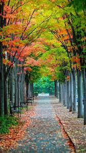 Nature Wallpapers Iphone Android Beautiful Nature Wallpaper Landscape Wallpaper Nature Photography