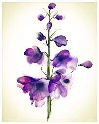 Larkspur Watercolor Flowers Watercolor Paintings Art