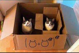 Cat Maths Meme By Ukenski Memedroid