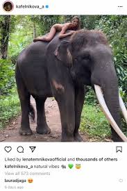 Aksinya menuai kritikan pedas hingga kecaman dari warganet. Trunked Bed Russian Influencer Poses Naked On Top Of Elephant In Bali Coconuts Bali