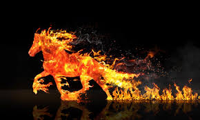 Grab weapons to do others in and supplies to bolster your chances of survival. Fire Horse Wallpapers Top Free Fire Horse Backgrounds Wallpaperaccess