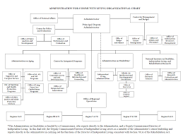 Organizational Structure Flow Charts