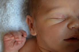 Nov news and cues doc