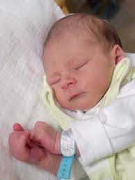 Miminka Chebského deníku