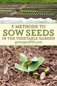 13 Easy Vegetables To Direct Sow Sow Seeds Spring Vegetable Garden Planting Vegetables