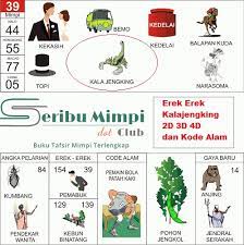 Lalu, bagaimana arti kelelawar masuk rumah menurut islam? 42 Kode Alam Kelelawar Masuk Rumah Png Gamis Favorit