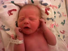 Chebeague Island News