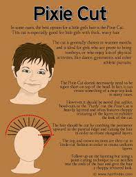 Everything you need for a simple and effective manscaping routine. How To Cut A Long Pixie Haircut At Home Novocom Top