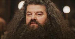 nick-frost-harry-potter