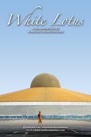 Under the white lotus' watchful protection, korra was educated in all known academic fields, and trained by the best martial arts instructors. White Lotus 2017 Imdb