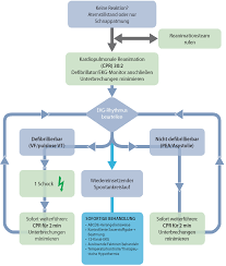 A schema is a data structure for holding and transmitting information electronically and in bulk. Http Www Uni Kiel De Anaesthesie Docs Studenten Vortrag Notfall 20121203 Acls Graesner Pdf