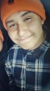 Who recommends dirt and rock delivery and spreading services?