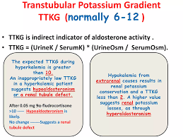 Image result for Transtubular Potassium Gradient