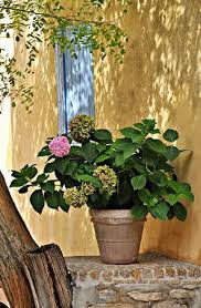 Cap Au Sud Au Pays Des Merveilles Poterie Jardin Bacs De Jardin Idees Jardin