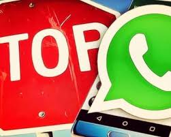 We did not find results for: Como Instalar Stickers En Gbwhatsapp Septiembre 2021