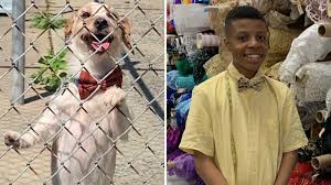 Click/tap image to sponsor or adopt animal. 12 Year Old Boy Creates Bowties To Help Homeless Dogs And Cats Find Forever Homes 6abc Philadelphia