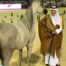 و كانت سماء الربيع تؤلف نجما … ÙŠÙ‚ÙˆÙ„ Ø®Ø§Ù„Ø¯ Ø§Ù„ÙÙŠØµÙ„ ÙƒÙˆÙ†ØªÙ†Øª