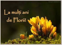 Fie ca incepand cu aceasta zi speciala sperantele tale sa se implineasca, florile sa iti la multi ani! Facebook