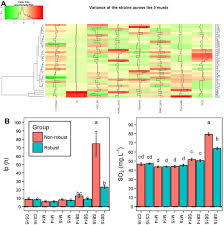 Wine Yeast Phenomics A Standardized Fermentation Method For