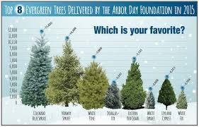 We did not find results for: Pine Trees Zone 7 Sandy Soil Google Search Evergreen Evergreen Shrubs Arbor Day Foundation