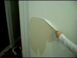 James West Painting Watch The Paint Peel Off The Door Youtube