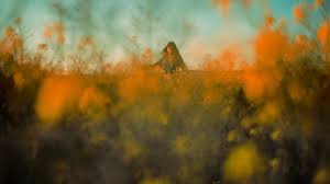 All videos are free for personal and commercial use. 100 000 Best Woman Videos 100 Free Download Pexels Stock Videos