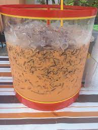 Selalu tengok teh ais madu ni confirm meleleh air liur. Resepi Teh Ais Dhaka Yang Confirm Sedap Dan Memikat Mrejoy