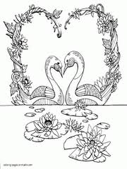 Swan coloring page for kindergarten. 34 Bird Coloring Pages For Adults Free