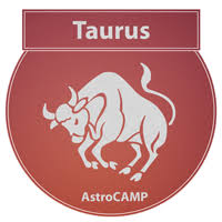 The year will end on a high note because things will start getting better. Taurus Horoscope 2021 Taurus Astrology Predictions 2021
