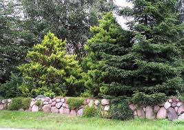 Friesenwall Bauen Worauf Kommt Es An Bepflanzung Garten Anlegen Friesenwall