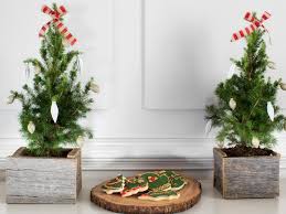 Don't want to make your own? Country Christmas Decorations Hgtv