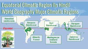 Equatorial Climatic Region World Geography Major Climatic Regions In Hindi