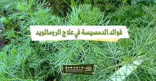 فوائد الدمسيسة في علاج الروماتويد light box cinema lighting cinema light box