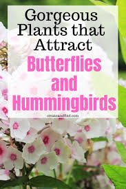Plants That Attract Butterflies And Hummingbirds Plants That Attract Butterflies Hummingbird Plants Flowers That Attract Butterflies
