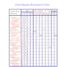Microbiology G Neg Chart Link