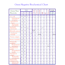 microbiology g neg chart link