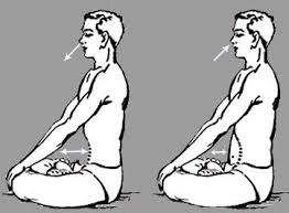 Kapalbhati Pranayam Yoga Breathing Exercises Asana Yoga Poses Yoga Breathing