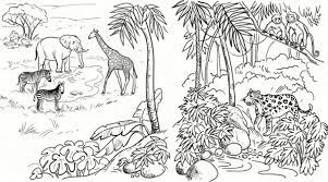 Matching games, rainforest coloring pages, and memory cards make learning about the rainforest fun for all ages. Printable Amazon Rainforest Coloring Pages Coloring4free Coloring4free Com