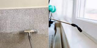 We are revered as one of the most respected and trusted. Carpet Cleaning And Pest Control A A Spectrum