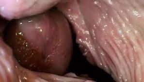 See inside the vagina during sex TNAFlix Porn Videos
