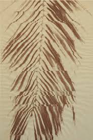 Bildergebnis für Ala D'Amico