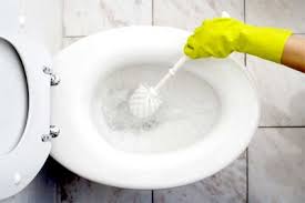 35 Brilliant Uses For Hydrogen Peroxide One Good Thing By Jillee Toilet Cleaning Toilet Bowl Cleaner Toilet Cleaner
