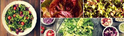 'add the radicchio, thyme, speck, prosciutto, and chicken stock and cook for another eight to ten minutes.'. Mesclun Vs Mesculin Everything You Need To Know On The Gas The Art Science Culture Of Food