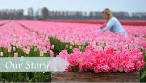 Image result for flower photo