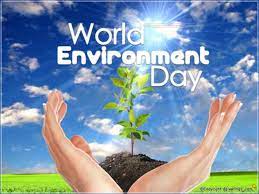 World environment day 2021 theme history significance: à¤µ à¤¶ à¤µ à¤ªà¤° à¤¯ à¤µà¤°à¤£ à¤¦ à¤µà¤¸ à¤ªà¤° à¤¨ à¤¬ à¤§ 5 June World Environment Day Essay In Hindi à¤µà¤° à¤² à¤¡ à¤à¤¨à¤µ à¤¯à¤°à¤¨à¤® à¤Ÿ à¤¡ à¤à¤¸ à¤¸