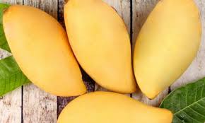 You'll see fruits stalls in every corner of the country. Thailand Ministry Of Commerce Helping Fruit Farmers Sell Their Products Online Tfnet International Tropical Fruits Network