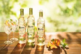 Ketel One Botanical Grapefruit Rose Spritz - A Lush Life Manual Summer Vodka Cocktails Rose Spritz Ketel One Vodka