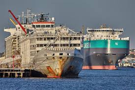 review into livestock exports by sea
