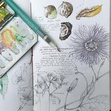 Field Sketchbook For Today With The Drop In Temperatures It Has Been Great To Go Exploring Optoutside Sketch Book Botanical Sketchbook Sketchbook Art Journal
