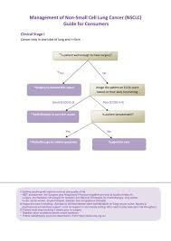 Lung cancer begins in the lungs and may spread to lymph nodes or other organs in the body, such as the brain. Management Of Non Small Cell Lung Cancer Nsclc Guide For